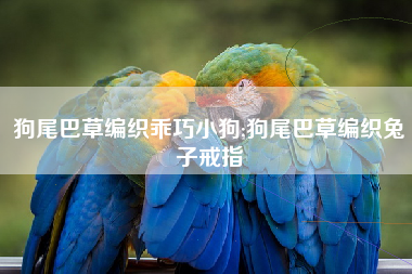 狗尾巴草编织乖巧小狗;狗尾巴草编织兔子戒指