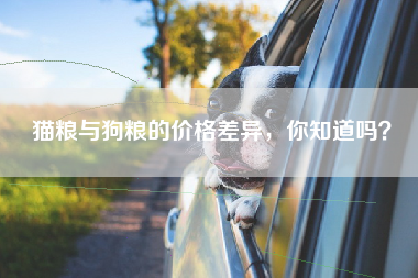 猫粮与狗粮的价格差异，你知道吗？