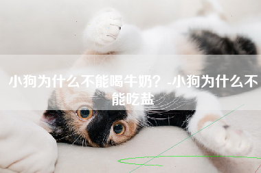 小狗为什么不能喝牛奶？-小狗为什么不能吃盐