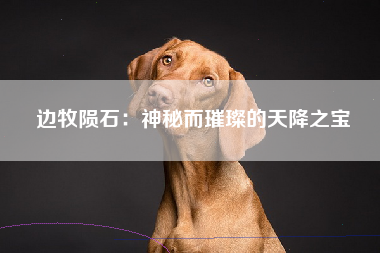 边牧陨石：神秘而璀璨的天降之宝