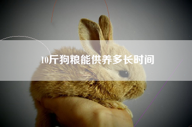 10斤狗粮能供养多长时间