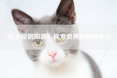 哈士奇阴阳眼：探索灵界的独特能力
