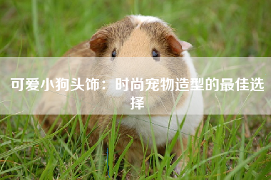 可爱小狗头饰：时尚宠物造型的最佳选择