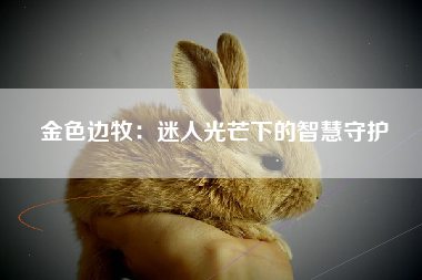 金色边牧：迷人光芒下的智慧守护