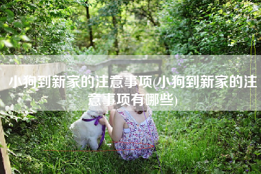 小狗到新家的注意事项(小狗到新家的注意事项有哪些)