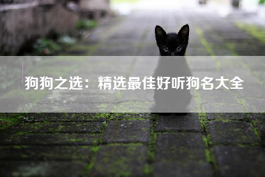 狗狗之选：精选最佳好听狗名大全