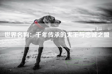 世界名狗：千年传承的犬王与忠诚之盟