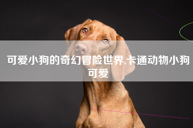 可爱小狗的奇幻冒险世界,卡通动物小狗可爱