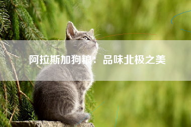 阿拉斯加狗粮：品味北极之美