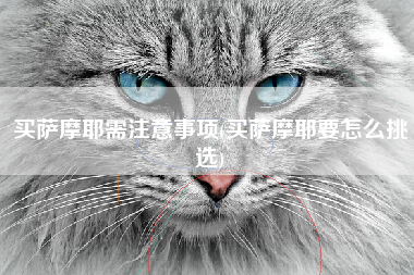 买萨摩耶需注意事项(买萨摩耶要怎么挑选)