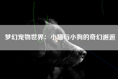 梦幻宠物世界：小猫与小狗的奇幻邂逅