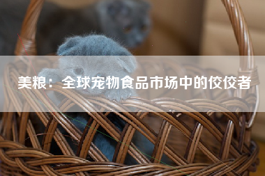 美粮：全球宠物食品市场中的佼佼者