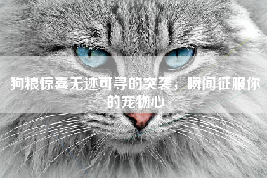 狗粮惊喜无迹可寻的突袭，瞬间征服你的宠物心