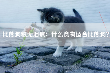 比熊狗粮无泪痕：什么食物适合比熊狗？