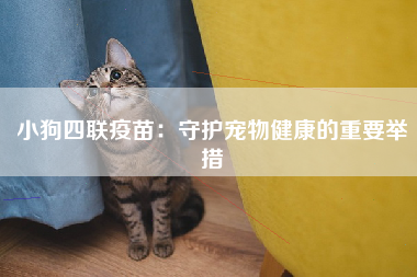 小狗四联疫苗：守护宠物健康的重要举措