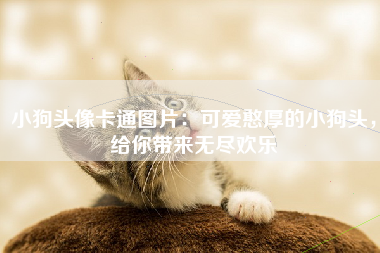 小狗头像卡通图片：可爱憨厚的小狗头，给你带来无尽欢乐