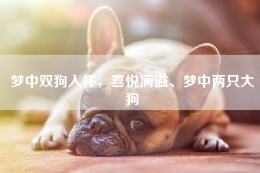 梦中双狗入怀，喜悦满溢、梦中两只大狗