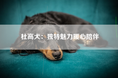 杜高犬：独特魅力暖心陪伴