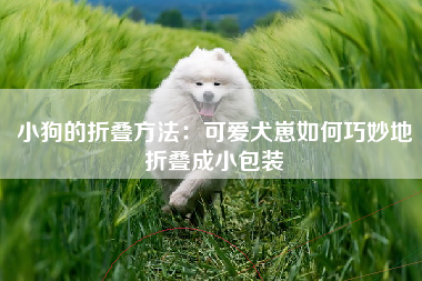 小狗的折叠方法：可爱犬崽如何巧妙地折叠成小包装