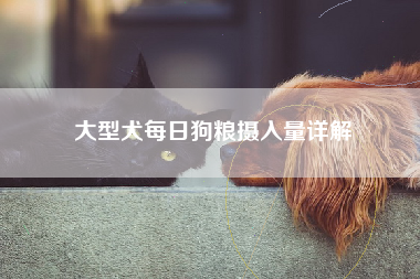 大型犬每日狗粮摄入量详解