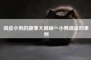 调皮小狗的趣事大揭秘—小狗调皮的事例