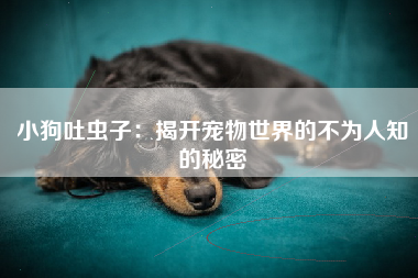 小狗吐虫子：揭开宠物世界的不为人知的秘密