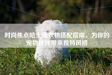 时尚焦点哈士奇衣物搭配指南，为你的宠物伙伴带来独特风格