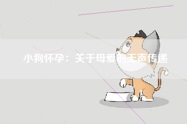 小狗怀孕：关于母爱的无声传递