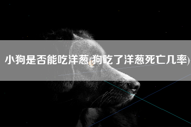 小狗是否能吃洋葱(狗吃了洋葱死亡几率)