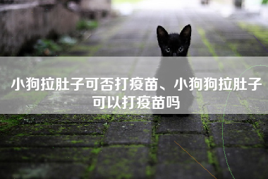 小狗拉肚子可否打疫苗、小狗狗拉肚子可以打疫苗吗