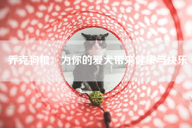 乔克狗粮：为你的爱犬带来健康与快乐