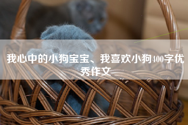 我心中的小狗宝宝、我喜欢小狗400字优秀作文