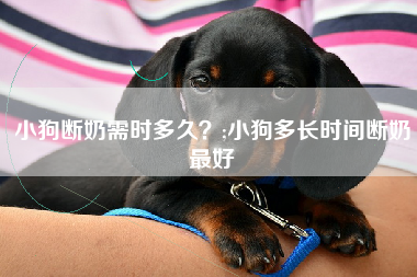 小狗断奶需时多久？;小狗多长时间断奶最好