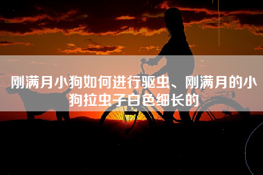 刚满月小狗如何进行驱虫、刚满月的小狗拉虫子白色细长的