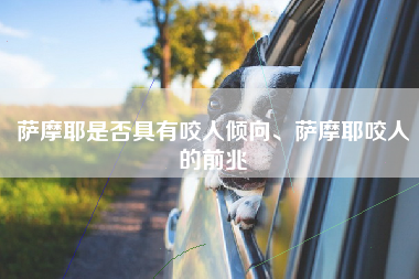 萨摩耶是否具有咬人倾向、萨摩耶咬人的前兆