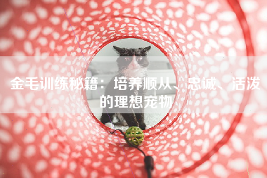 金毛训练秘籍：培养顺从、忠诚、活泼的理想宠物