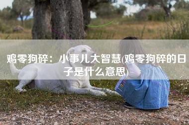 鸡零狗碎：小事儿大智慧(鸡零狗碎的日子是什么意思)