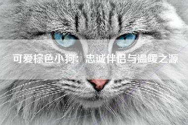 可爱棕色小狗：忠诚伴侣与温暖之源