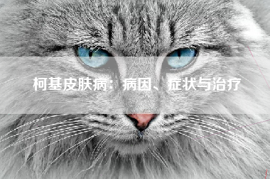 柯基皮肤病：病因、症状与治疗