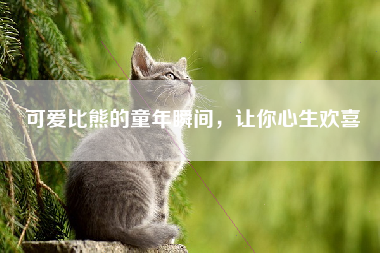 可爱比熊的童年瞬间，让你心生欢喜