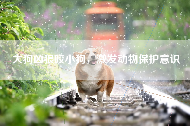 大狗凶狠咬小狗，激发动物保护意识
