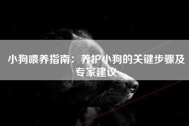 小狗喂养指南：养护小狗的关键步骤及专家建议