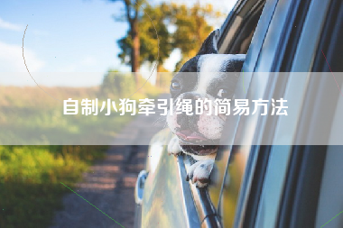 自制小狗牵引绳的简易方法