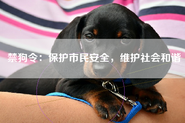 禁狗令：保护市民安全，维护社会和谐