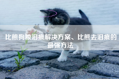 比熊狗粮泪痕解决方案、比熊去泪痕的最强方法