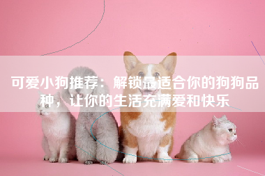 可爱小狗推荐：解锁最适合你的狗狗品种，让你的生活充满爱和快乐