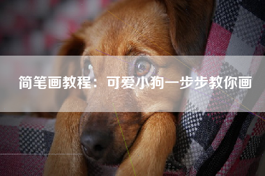 简笔画教程：可爱小狗一步步教你画
