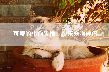 可爱的小狗头像：快乐宠物伴侣