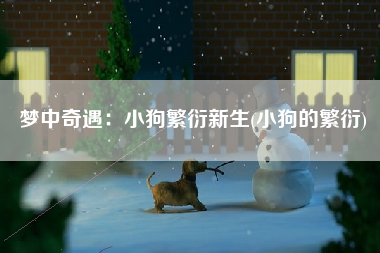 梦中奇遇：小狗繁衍新生(小狗的繁衍)