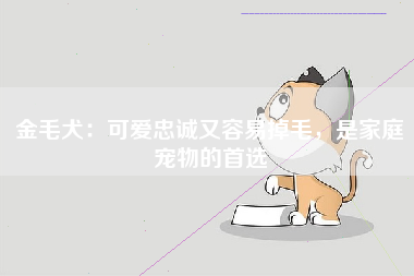 金毛犬：可爱忠诚又容易掉毛，是家庭宠物的首选